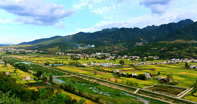 房陵大地豐收景象