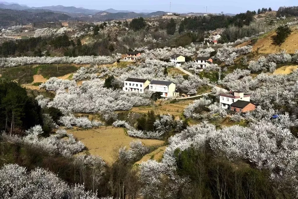 不要總是聽說房縣，請聽房縣說……