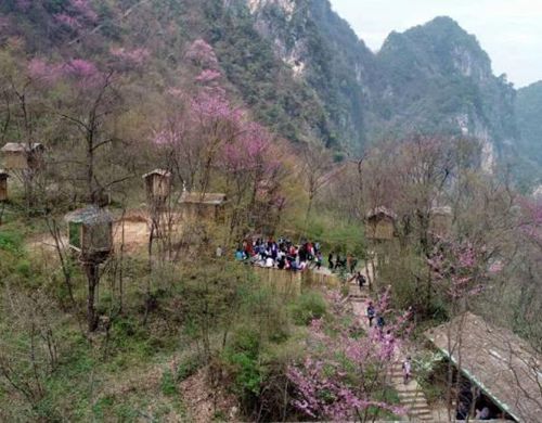 五一小長假第三天各景區(qū)現(xiàn)游客井噴景象