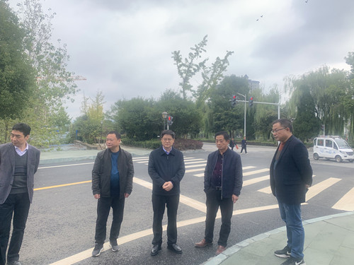 縣人大常委會集中督察人大代表議案辦理情況