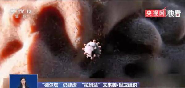 超千人感染，在美國蔓延 “拉姆達”比德爾塔傳染性更高？