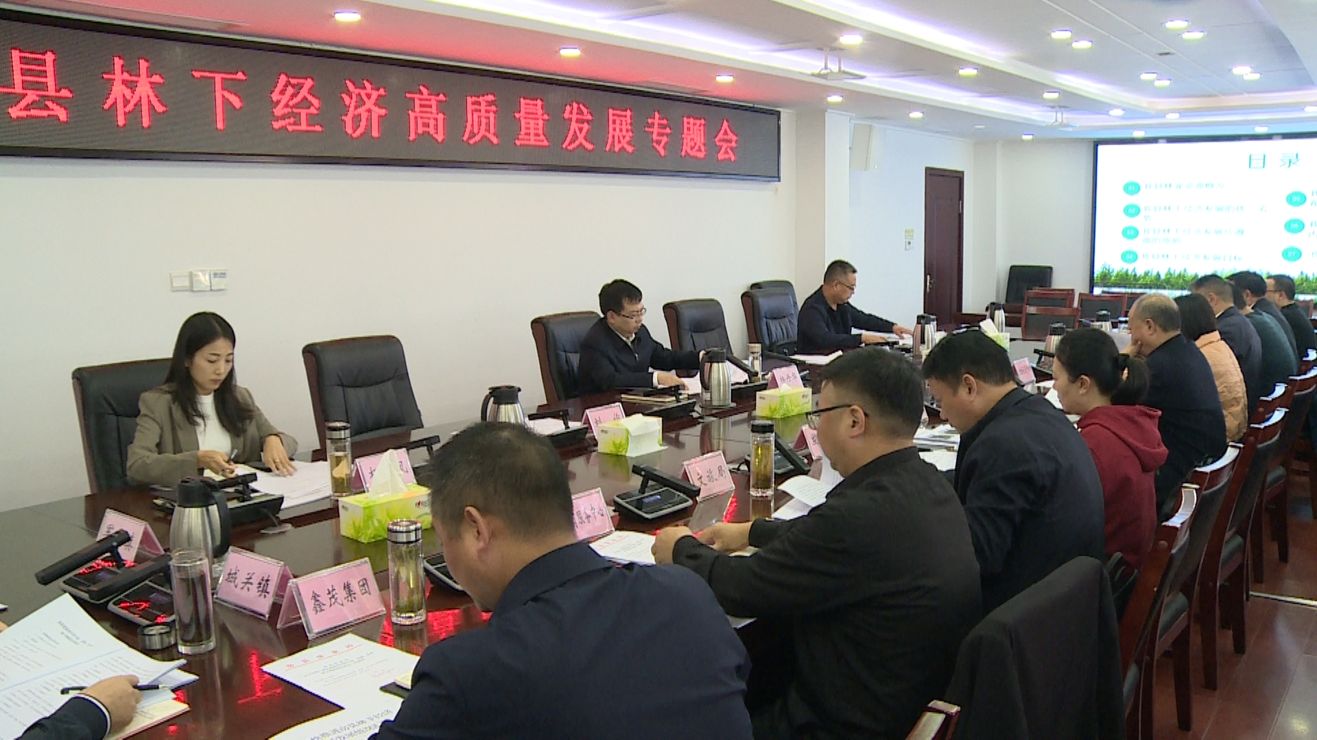 楊丹華主持召開(kāi)全縣林下經(jīng)濟(jì)高質(zhì)量發(fā)展專(zhuān)題會(huì)