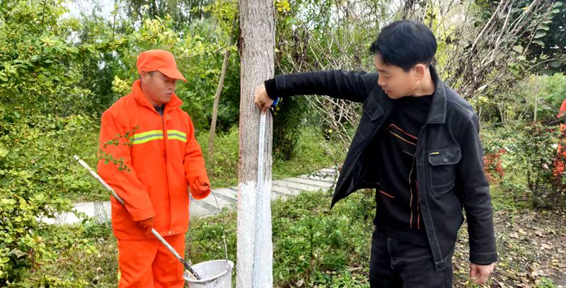 房縣公路養(yǎng)護(hù)中心給秋季路樹(shù)穿“新衣”