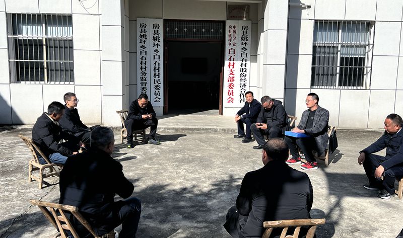 鑫茂集團(tuán)開(kāi)展“黨的二十屆四中全會(huì)精神宣講”暨“四百活動(dòng)”