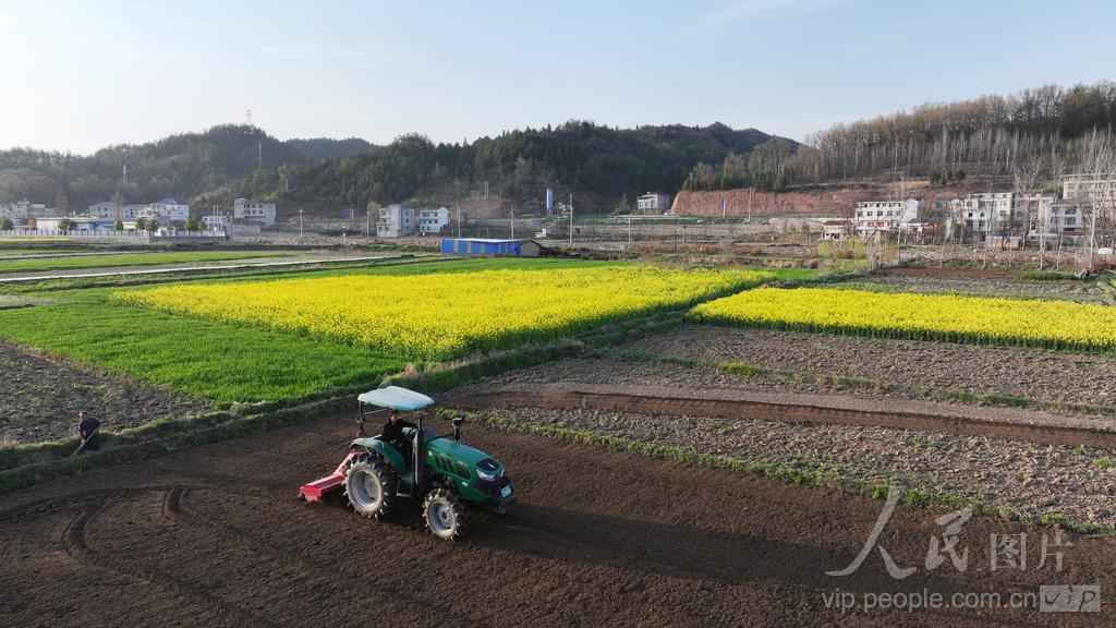 湖北房縣：田間春耕忙