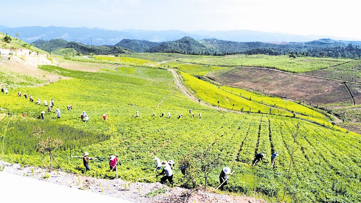 逐夢沃土拓富路 沃野綻放致富花