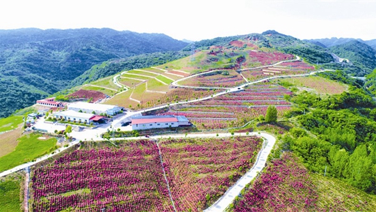 滿懷豪情寫華章 千年古鎮(zhèn)展新姿
