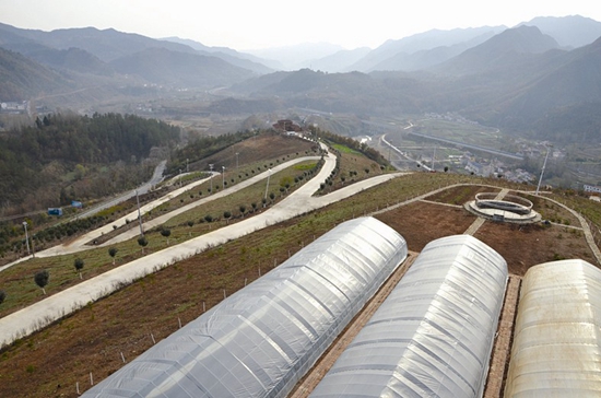 濃墨重彩寫傳奇