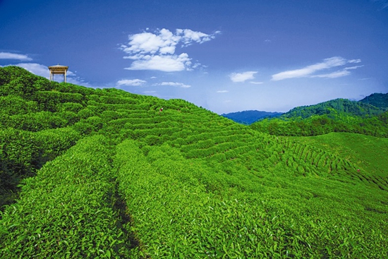 真抓實(shí)干書錦繡