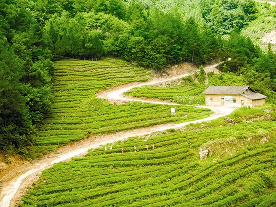 璀璨明珠耀堵河