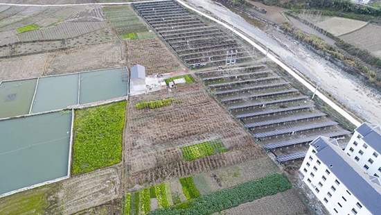 砥礪前行建新功