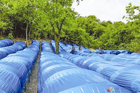 鄉(xiāng)村振興踏歌來(lái)