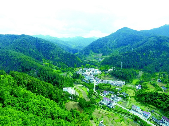 綠染山川惠萬(wàn)民