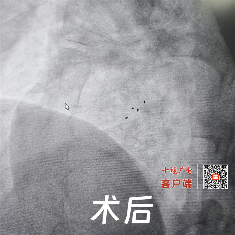 微信圖片_20250603120302_副本