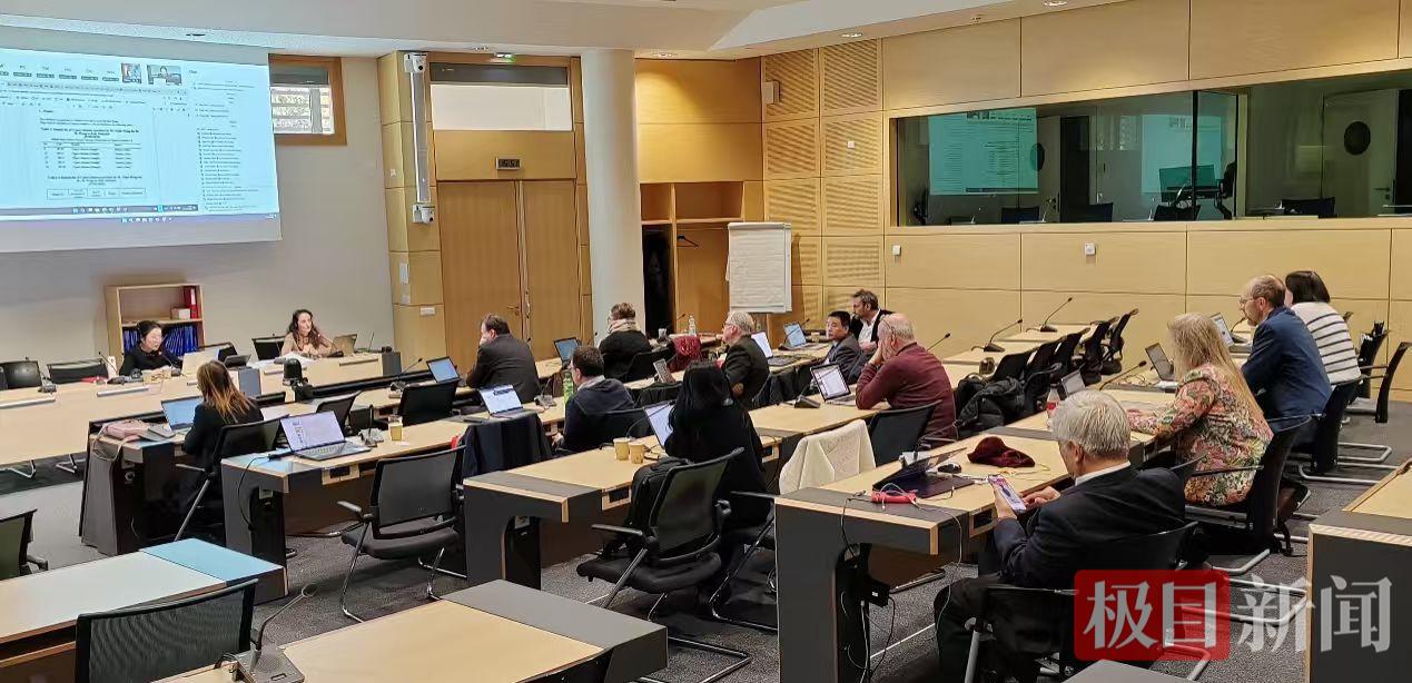 湖北“十大楚藥”艾葉，被歐洲藥典“看中”了！十堰專家推動(dòng)納入標(biāo)準(zhǔn)研究計(jì)劃